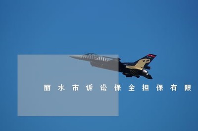 丽水市诉讼保全担保 非融资性担保业务的实践与重要性